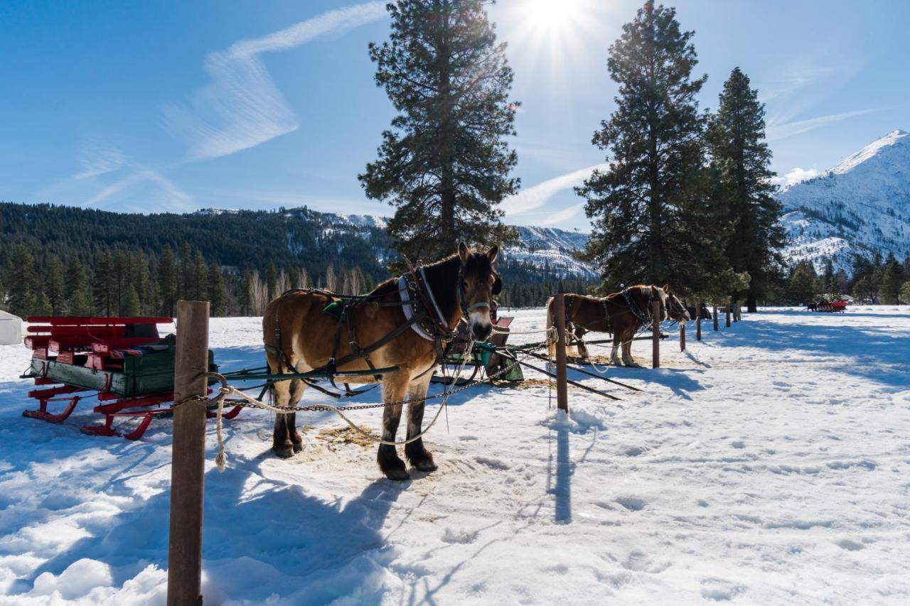 Aspen Suites 505: Enchantment Abode Leavenworth Bagian luar foto